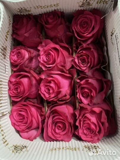 Розы без посредников. Букеты из роз 15 - 101шт