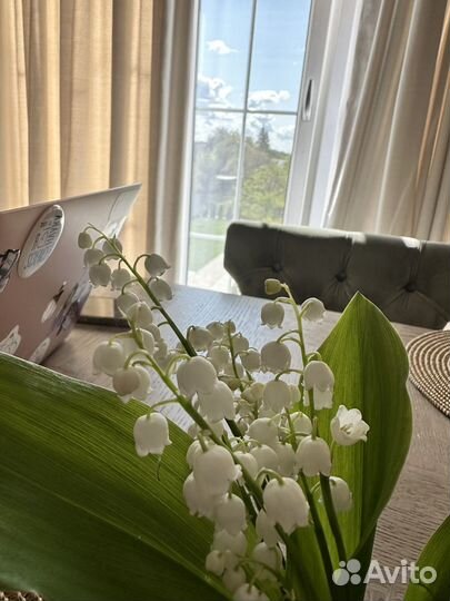 Администратор ресторана