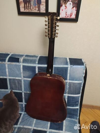 12 ти струнная гитара 