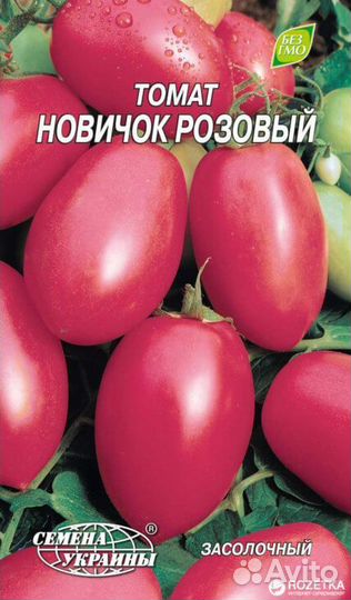 Рассада помидор