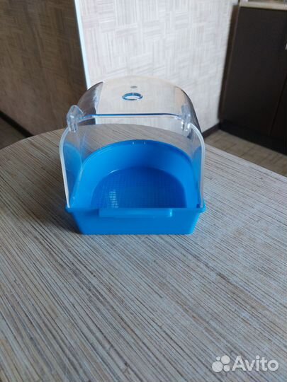 Домашние животные птицы