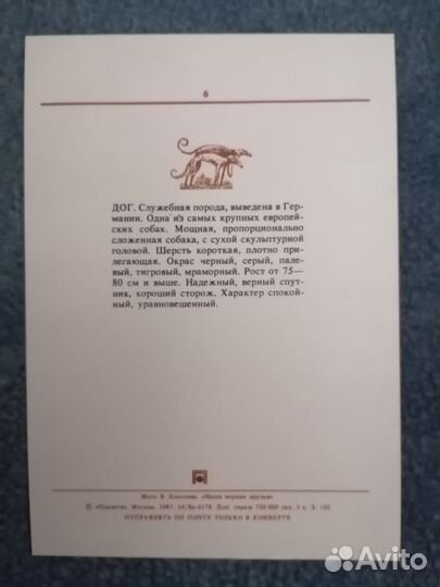 Открытки СССР