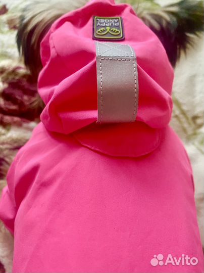 Вещи для собачки Puppy angei