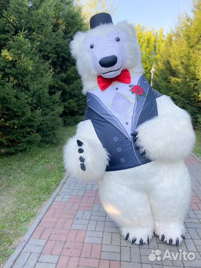 Ростовой Белый медведь аниматор на Ваш праздник