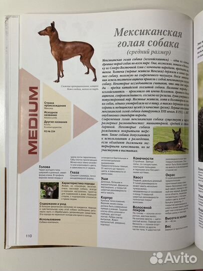 Энциклопедия собаки