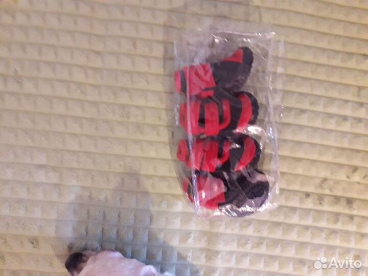 Обувь для маленьких собак