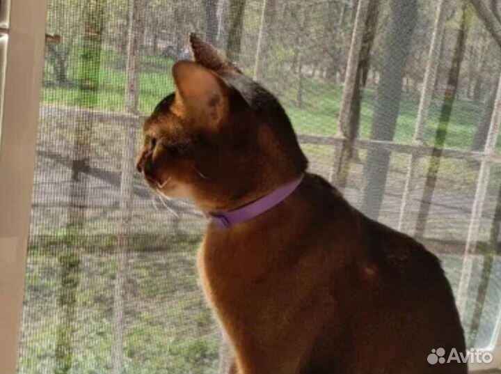 Сетки москитные на магнитах