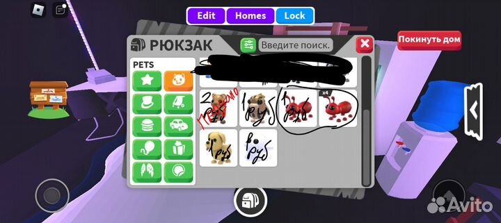 Адопт ми продаю петов,одежду,транспорты