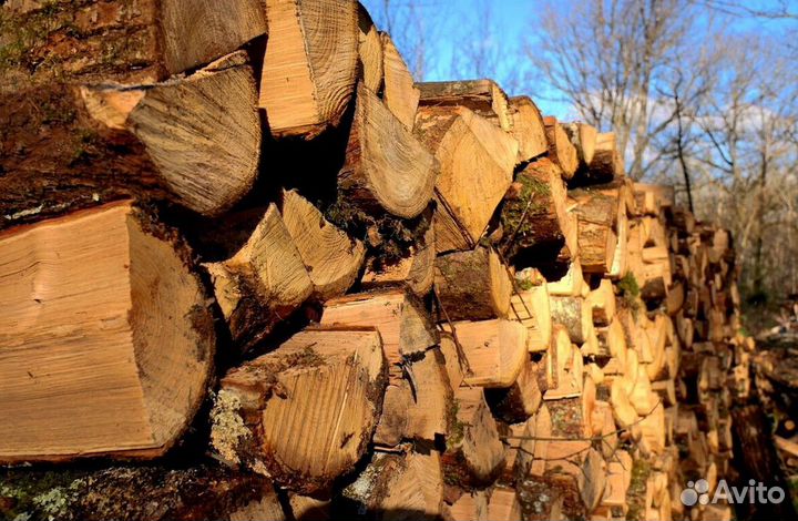 Дрова в ло