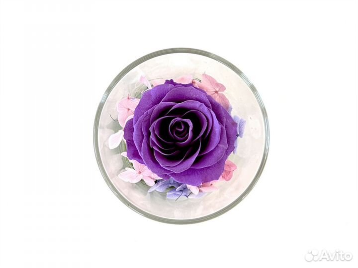 Комплимент в стаканчике Стабилизированные цветы