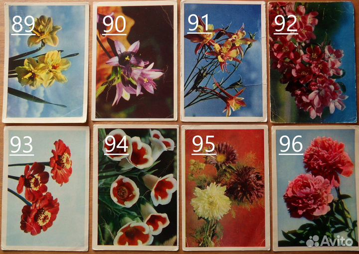 Старые (советские) открытки СССР. Цветы. 3