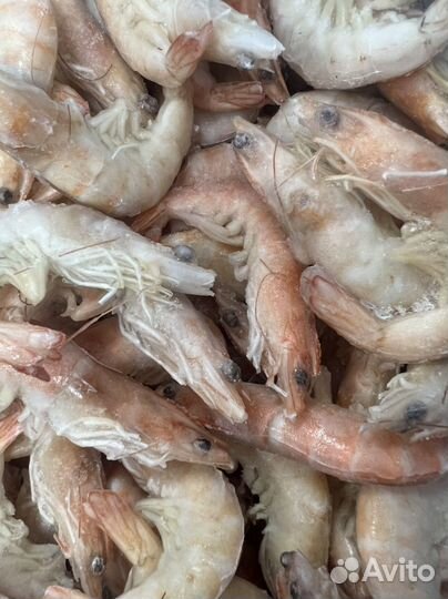 Королевская креветка