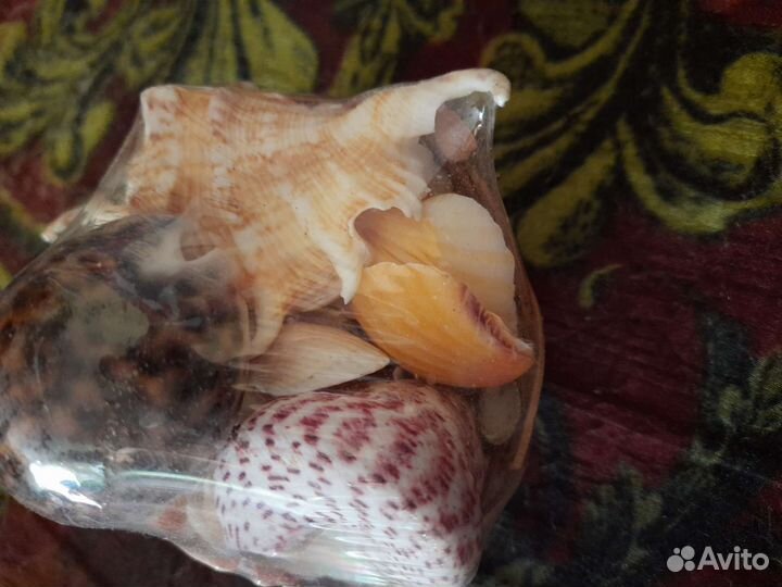 Сувениры с моря