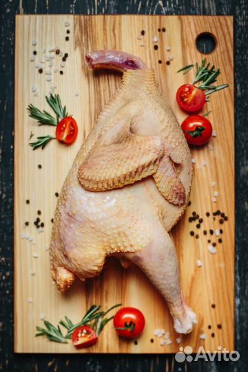 Мясо Цесарки