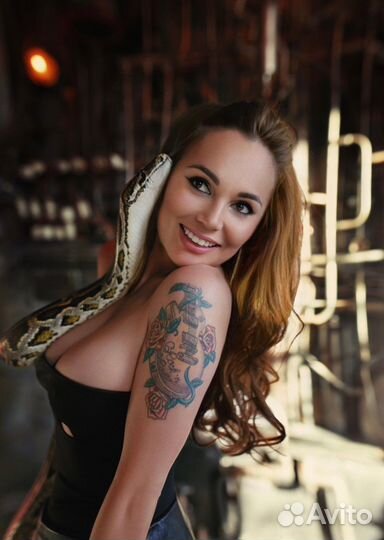 Аренда змей, рептилий