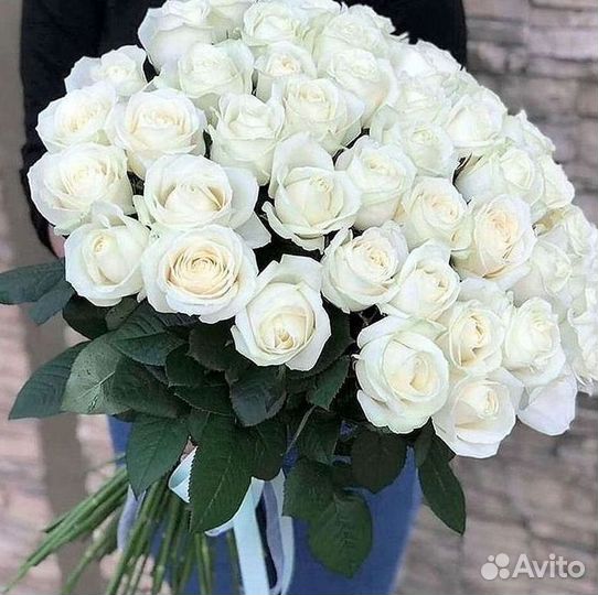 Розы высокие Доставка цветов