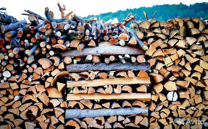 Дрова в Солнечное