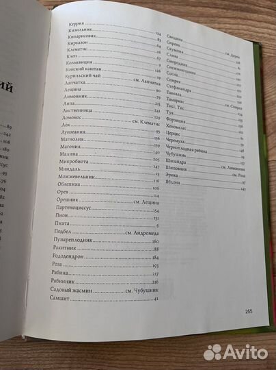 Деревья и кустарники энциклопедия