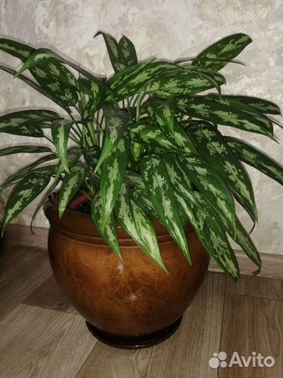 Кашпо для цветов (горшок)