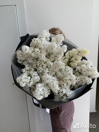 Букет сирени, сезонная сирень