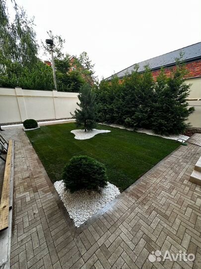 Рулонный газон под ключ