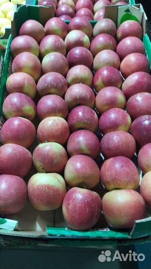 Яблоки крымские