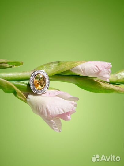 Предметный фотограф. Предметная фотография