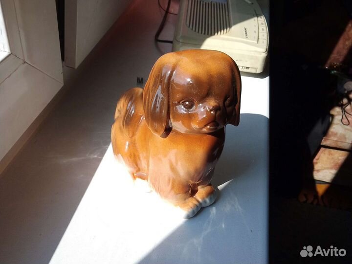 Пекинес. лфз