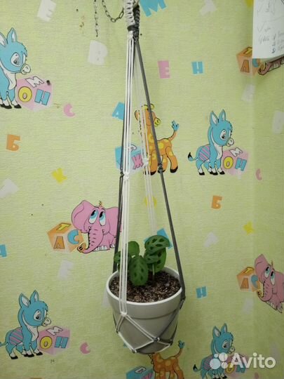 Кашпо макраме на заказ