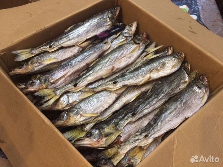 Корюшка вяленая