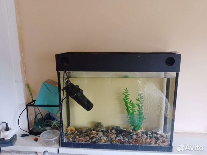 Аквариум