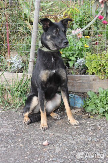 Рукка 1,5 года красивая и трогательная