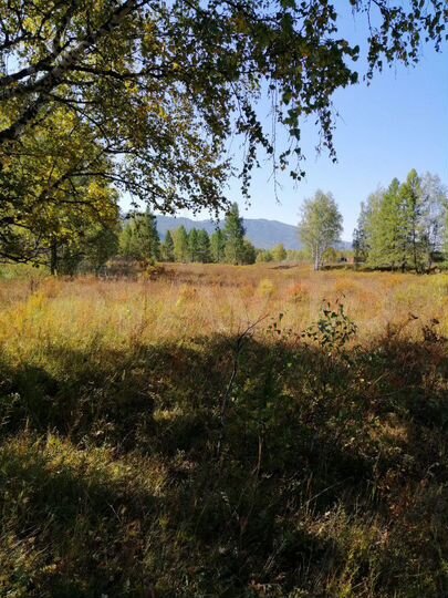 Участок 9,7 га (СНТ, ДНП)