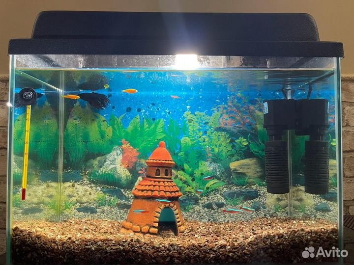 Аквариум 30 литров
