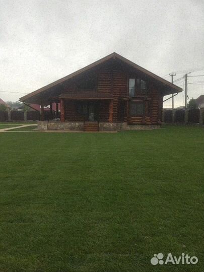 Рулонный газон, укладка, продажа