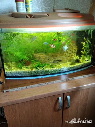 Аквариум для рыбок бу