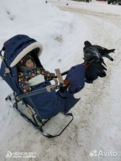 Коляска санки