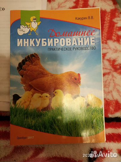 Инкубатор для яиц автоматический бу