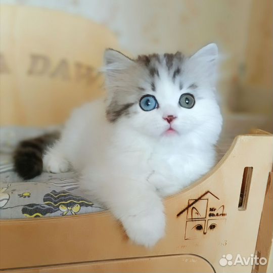 Эксклюзив для вас