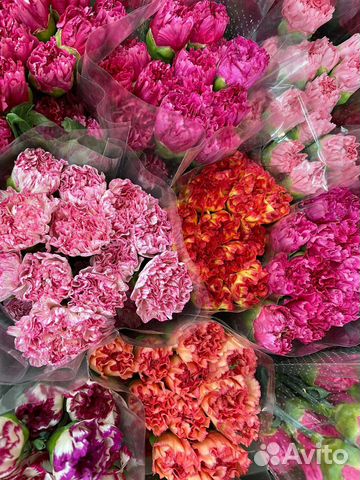 Гвоздики Букеты Доставка