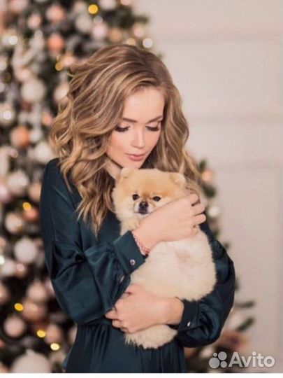 Астролог. Консультация. Обучение