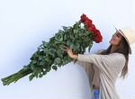Метровые розы /Эквадор/Бесплатная доставка