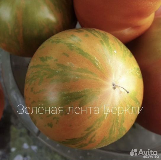 Семена томатов