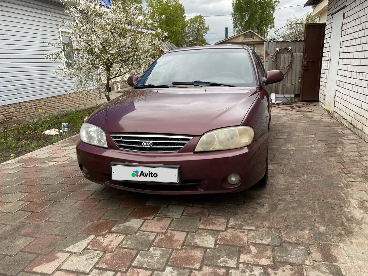 Kia Spectra: фото владельца