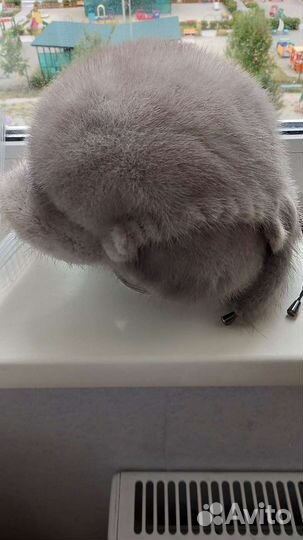 Шапка норка