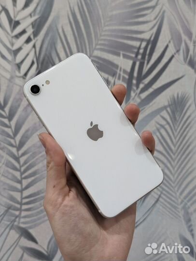 iPhone SE (2020), 64 ГБ