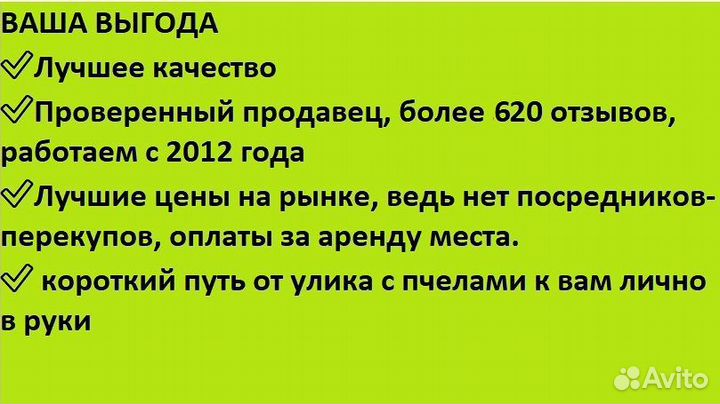 Мед 5л вкусный к столу, доставка 0 рубл