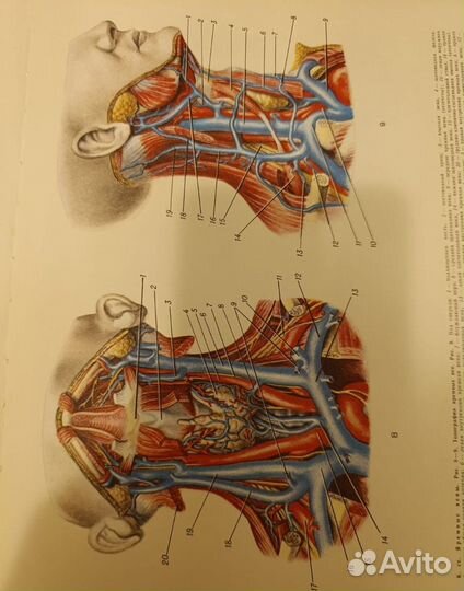 Большая медицинская энциклопедия, 29 томов