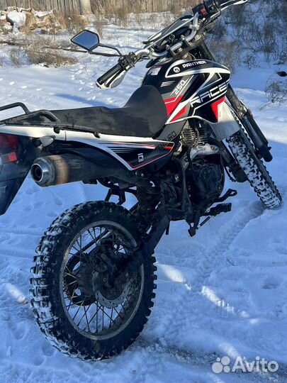 Racer pantera 250 красный
