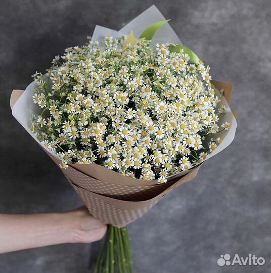 Ромашки букет